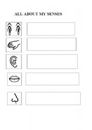 English Worksheet: my senses