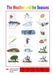 English Worksheet: Weather and Seasons