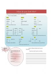 English Worksheet: dscribing people