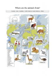 English Worksheet: WHERE ARE THE ANIMALS FROM?
