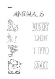 ANIMALS