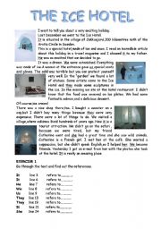 English Worksheet: The Ice Hotel