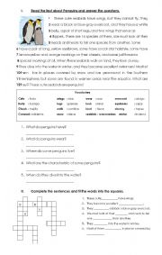 English Worksheet: a reading 