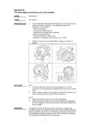 English worksheet: article