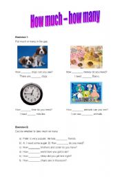 English Worksheet: How much, How many