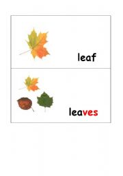 English Worksheet: leaf-leaves