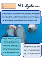 English Worksheet: DOLPHINS