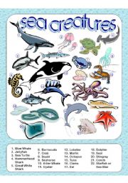 English Worksheet: Sea Creatures Picture Dictionary