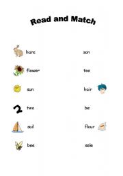 English worksheet: Homophones 