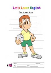 English Worksheet: The Human Body