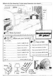 English Worksheet: Where are the hamsters?