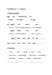 English worksheet: Describing a person -  useful  words  + worksheet          PART 1