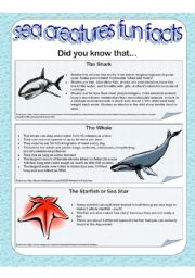 English Worksheet: Sea Creatures Fun Facts - Part 2 of 2