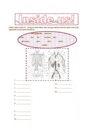 English worksheet: INSIDE US!