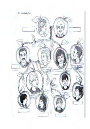 family tree