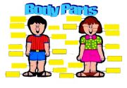 English Worksheet: body poster