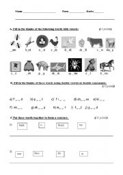 English worksheet: Elementary special paper class test exercises