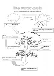 Water cycle worksheets