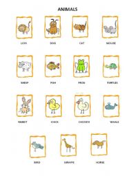 English Worksheet: animal