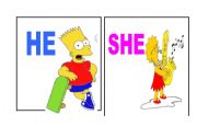 English worksheet: simpson he she