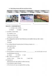 English Worksheet: natural disasters