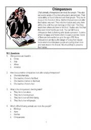 English Worksheet: Chimpanzees