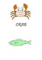 English Worksheet: sea animals