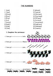 English Worksheet: The numbers