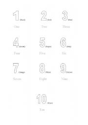 English Worksheet: Colores y numeros