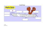 English Worksheet: erath worm