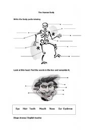 English Worksheet: Human Body