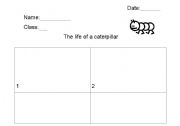 English worksheet: The life of a caterpillar