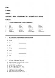 English Worksheet: Singular and Plurals