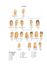 English Worksheet: Family