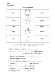 English Worksheet: the little red hen