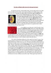 English Worksheet: red blood cells