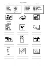 English worksheet: animals and where they live