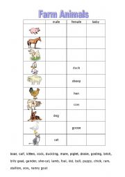 English Worksheet: farm animals