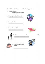 English Worksheet: Yes or No Ans