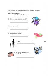 English worksheet: Yes or No Ans