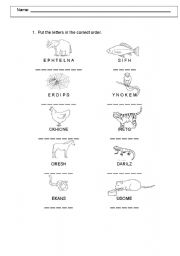 English worksheet: Find the animals