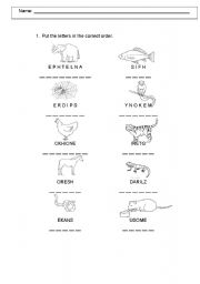 English Worksheet: Find the animals