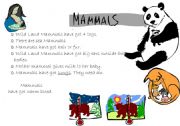 English Worksheet: Vertebrates: Mammal, reptiles, anphibians, birds