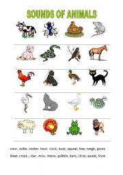 English Worksheet: sounds of animals