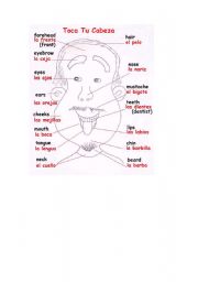 English Worksheet: Parts of head
