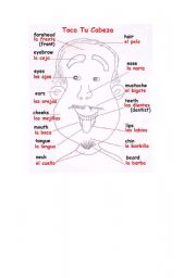 English worksheet: Parts of head