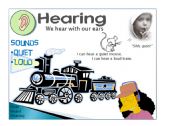 English Worksheet: Five senses - Hearing 1/5