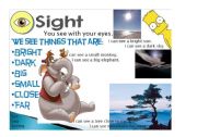 English Worksheet: Five senses - Sight 2/5