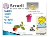 English Worksheet: Five senses - smell 3/5