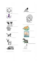 English worksheet: Animal wordsheet